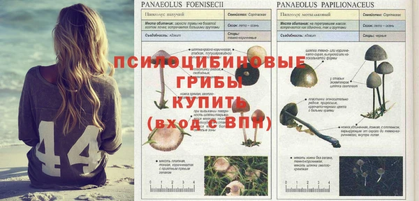 меф Медвежьегорск