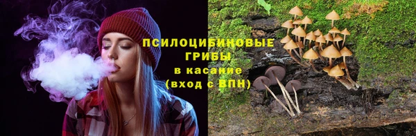 кокс Алексин