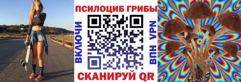 Галлюциногенные грибы мицелий  маркетплейс наркотические препараты  Кочубеевское 